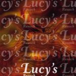 Lucys Blotter 5