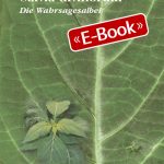 Salvia Divinorum - Die Wahrsagesalbei (E-Book)