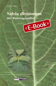 Salvia Divinorum - Die Wahrsagesalbei (E-Book)