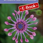 Traumpflanzen (E-Book)